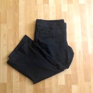 Studio by torrid pants